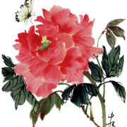 Grace_Chinese-Painting_flower_peony_butterfly_1
