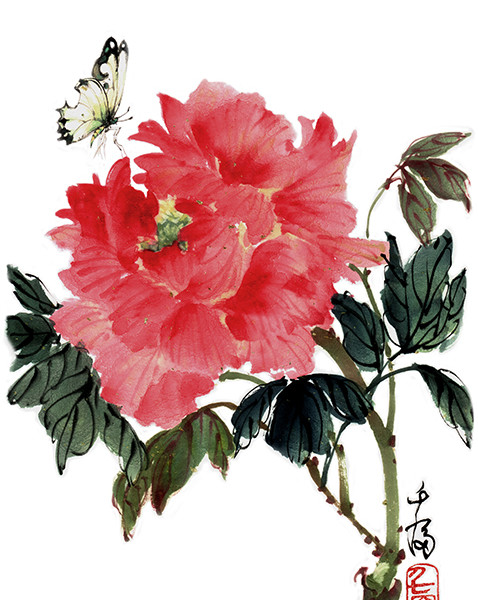 Grace_Chinese-Painting_flower_peony_butterfly_1