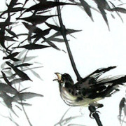 grace_bird_dancing-in-the-wind